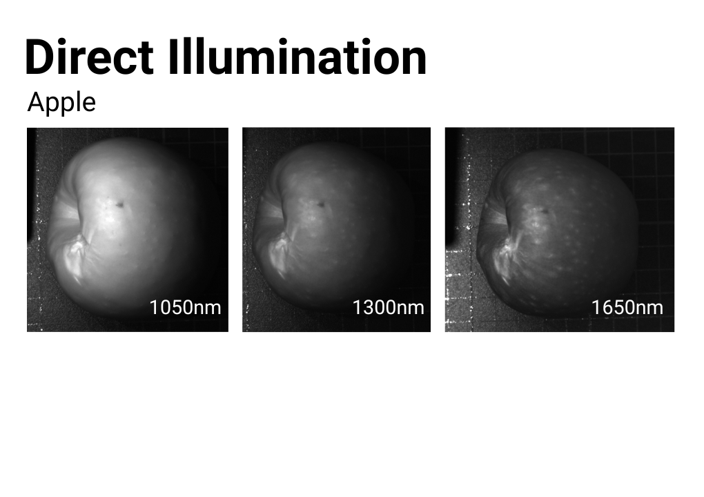 Direct illumination with short wave infrared lighting to inspect an apple, highlighting where there are bruises