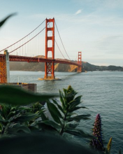 SF sf