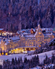 whistler whistler